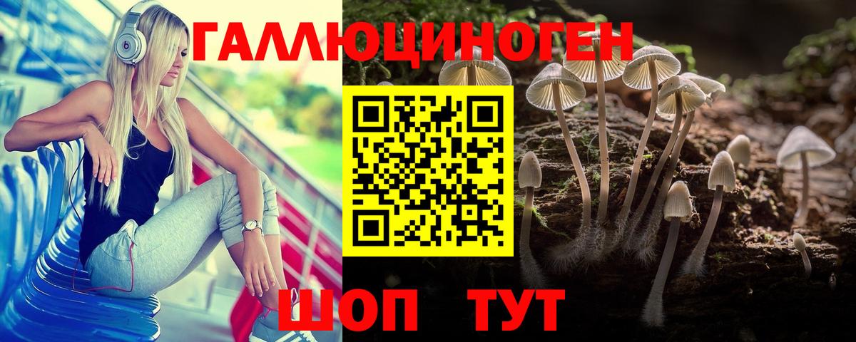 купить   Псилоцибиновые грибы мухоморы  Вход с VPN  Псилоцибиновые грибы GOLDEN TEACHER  Донской 
