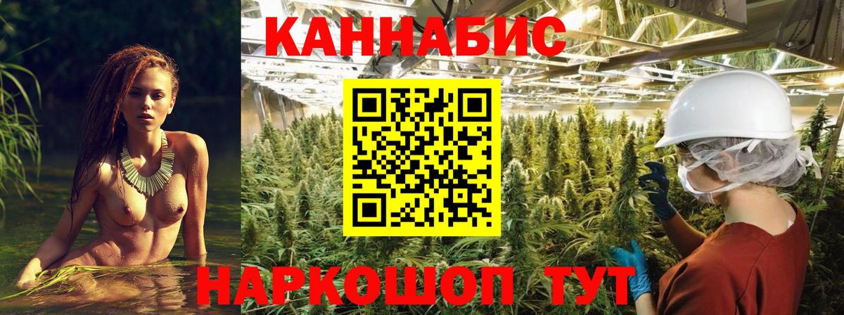 Канабис конопля Донской